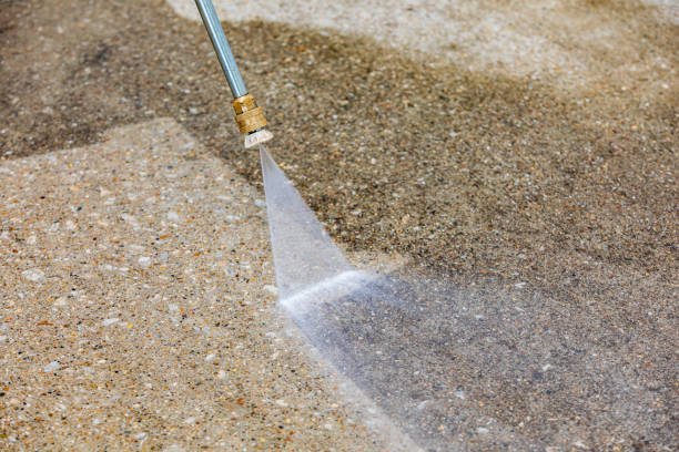 Best Driveway Pressure Washing  in Flemington, NJ